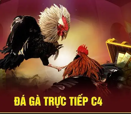 da ga truc tiep c4 789bet 68275bf0c2fdd